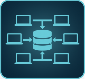 Collect and Analyze Customer Data