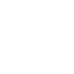 Data Governance & Quality