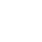 Risk management System